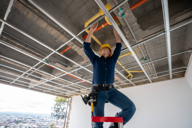 Best Commercial Plumbing Services  in Auburn, KY